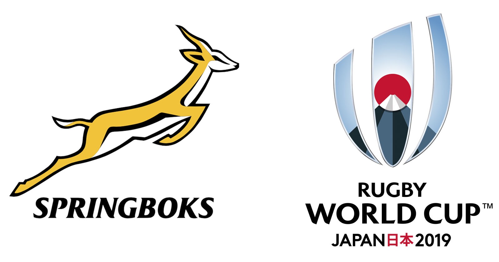 agent-orange-design-graphic-design-south-africa-world-cup-rugby-champions-logo.jpg